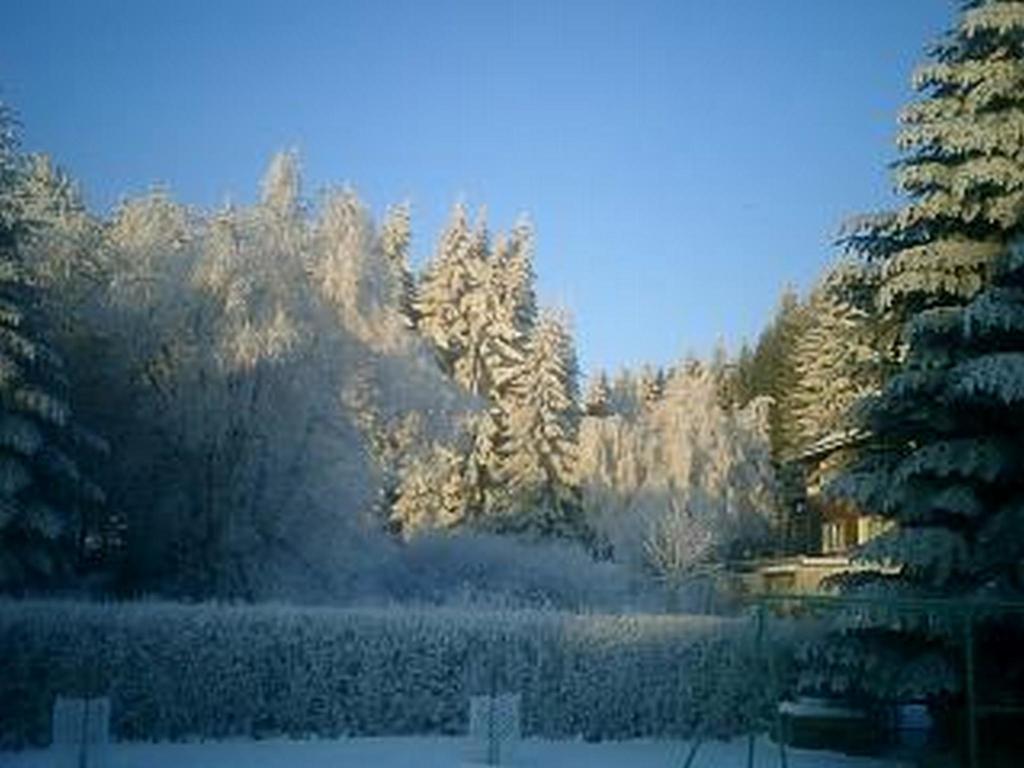 Ferienwohnung Zeidler Braunlage Room photo
